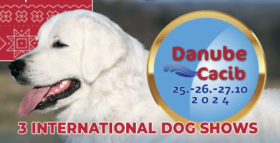 3 International Dog Shows